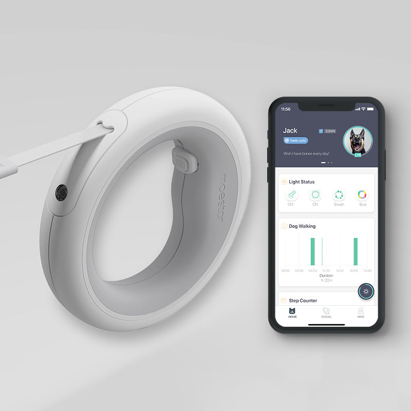 Guinzaglio tecnologico per cani, dotato di luce incorporata con batteria ricaricabile, guinzaglio antistrappo e dispenser. Gestione in remoto da app ios o android.