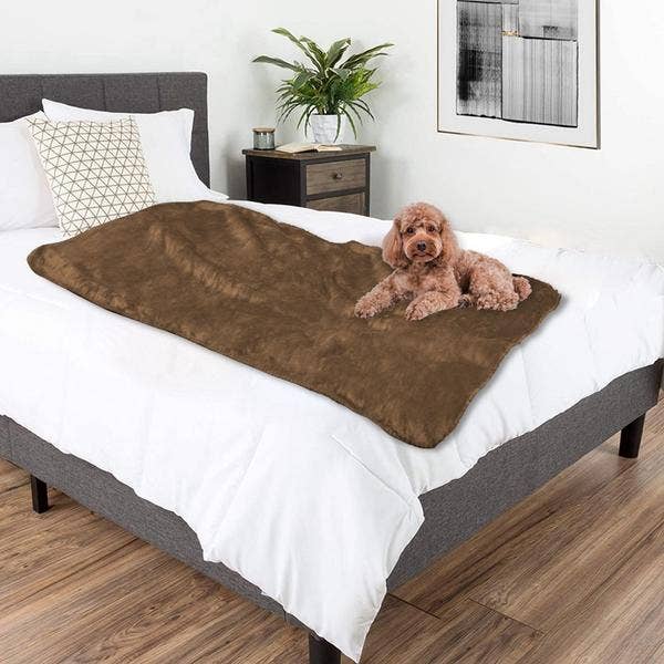Coperta per animali domestici per tutte le stagioni in peluche premium - marrone chiaro