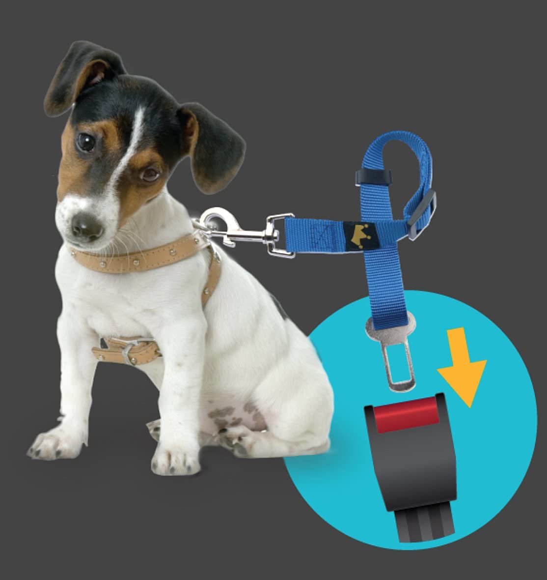 Adattatore Cinture di Sicurezza Animali