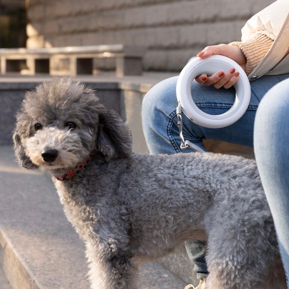 Guinzaglio tecnologico per cani, dotato di luce incorporata con batteria ricaricabile, guinzaglio antistrappo e dispenser. Gestione in remoto da app ios o android.