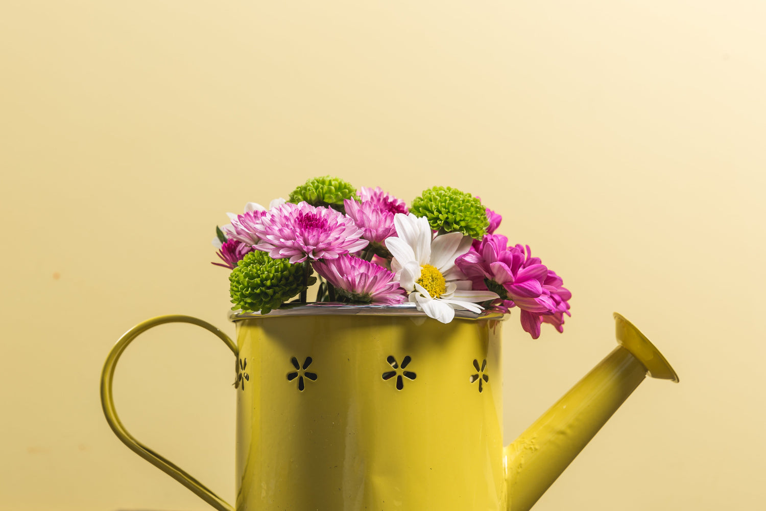 9C COLLEZIONE GARDENING IN EVIDENZA